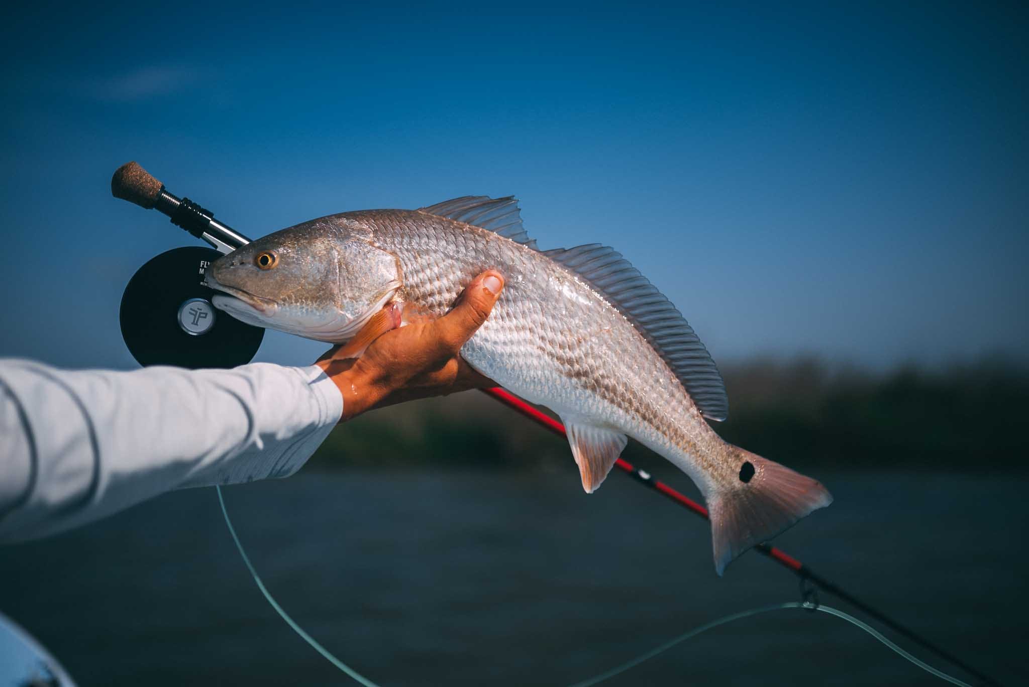 IDAHO X TEXAS REDFISH – A First Timer’s Account in the Lone Star State