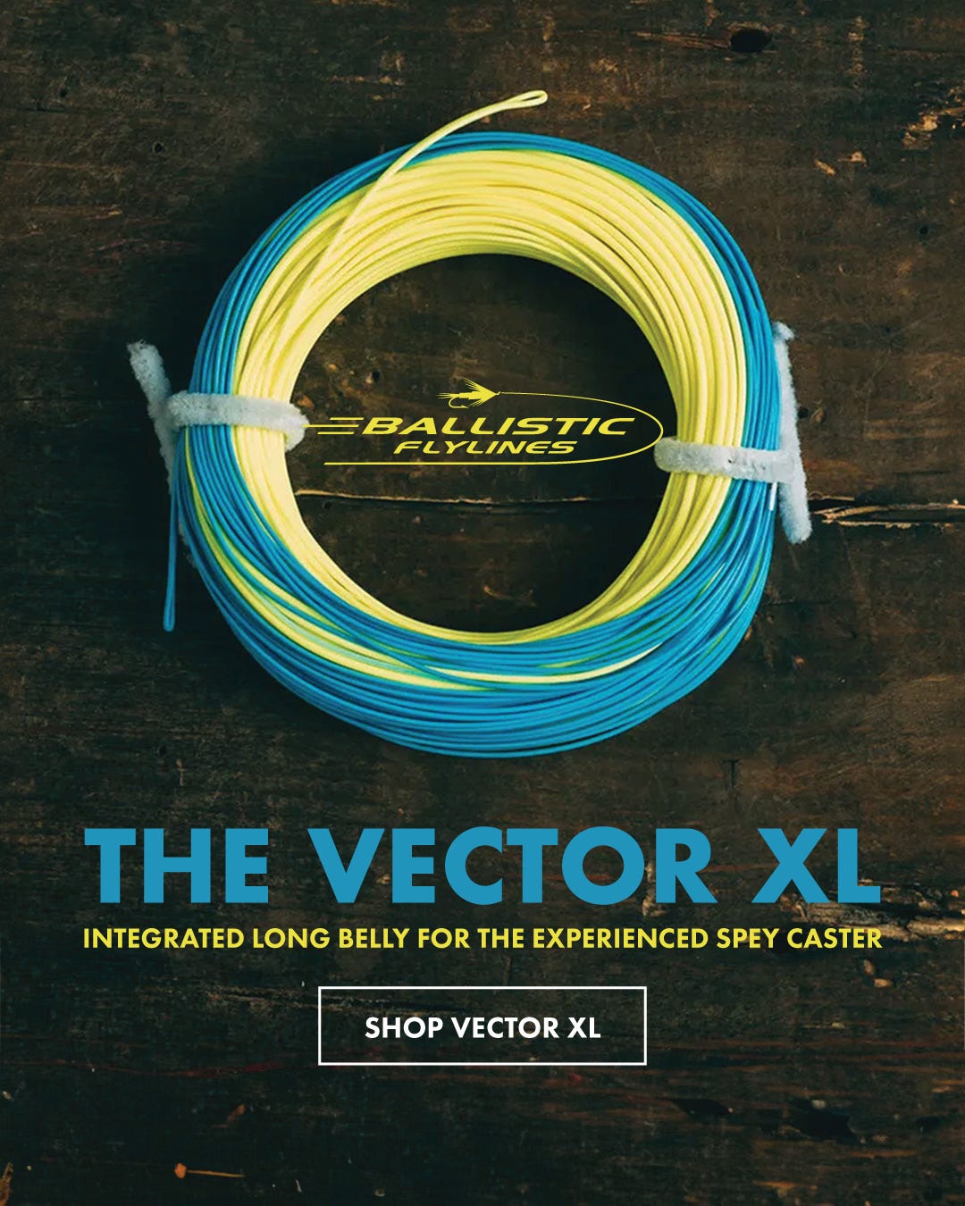 Shop Vector XL