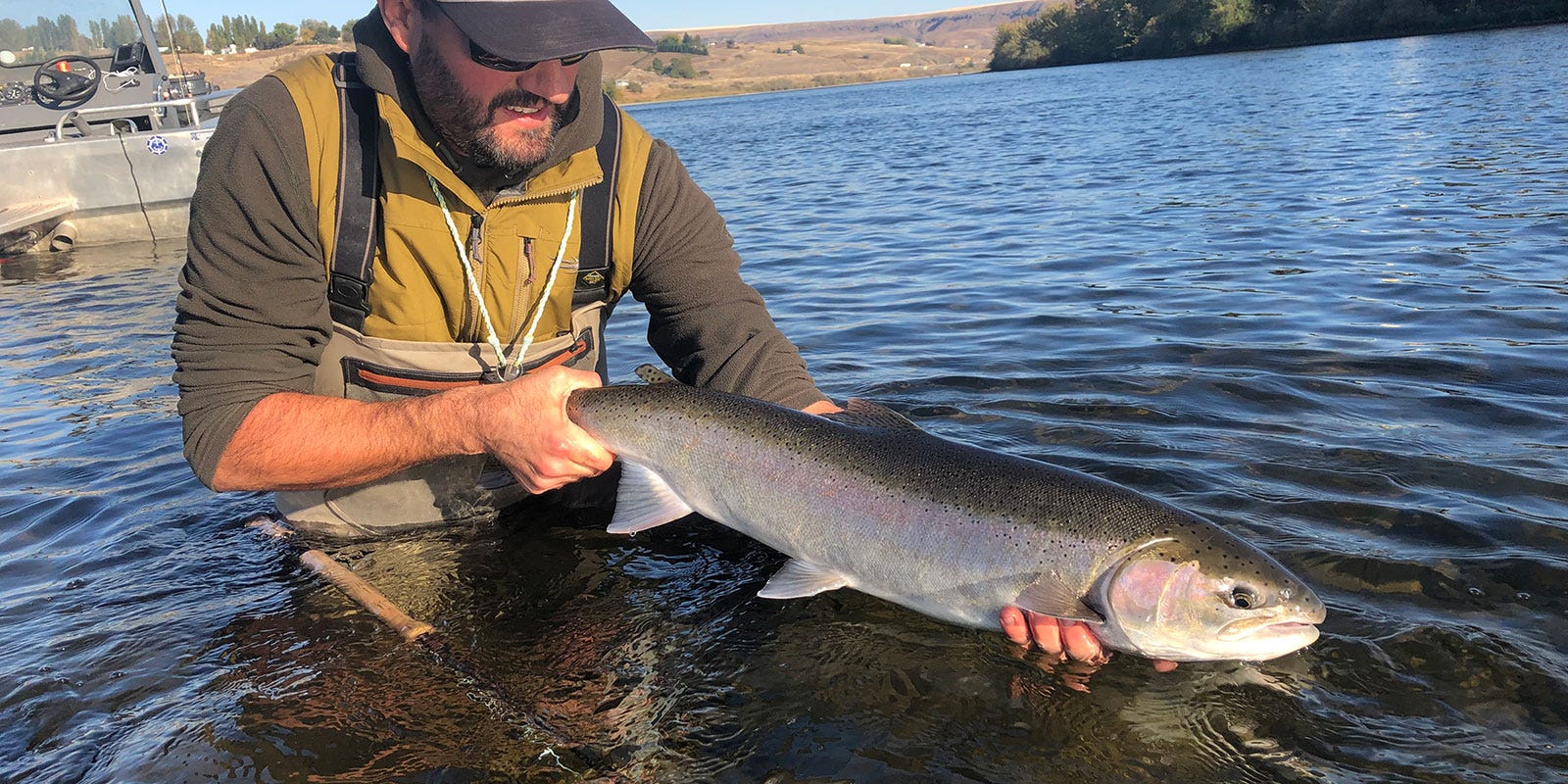 PLUGGING BIG WATER FOR FALL SUMMER STEELHEAD The Snake River