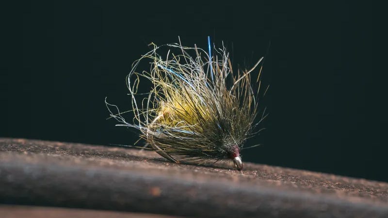 Kelly Galloups UV Caddis Pupa